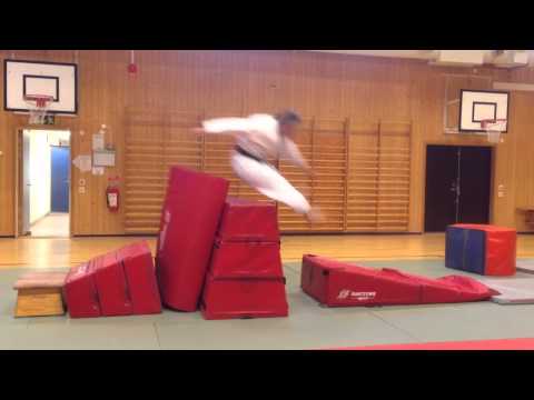 Fallteknik Jiujitsu Bjerred