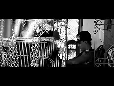 La Sinfonica - Dante Damage (Video Oficial)