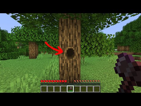 what is in that hole?