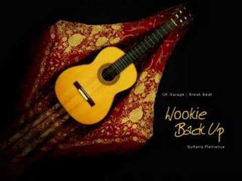 Wookie - Back up (DJ Zinc Remix)