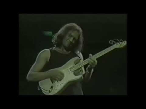 Wayne Krantz with Steely Dan (Summer of 96) with the Dan in Manassas, VA.