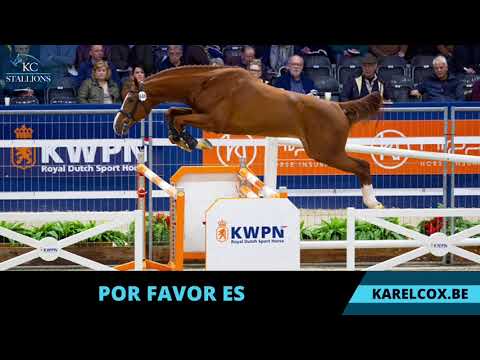 Por Favor ES KCX (El Barone 111 Z x Tornesch)