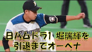 日ハム 堀瑞輝を引退までオーペナしたら、、【パワプロ2017】