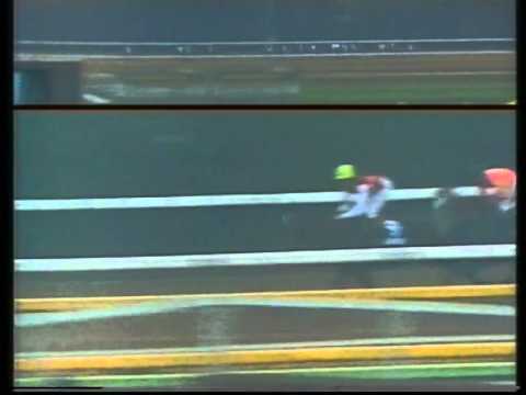 1990 Japan Cup Full Race Better Loosen Up