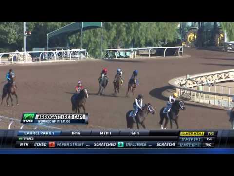Arrogate's Final Work at Santa Anita on 7/15/17 in Prep for the TVG San Diego Handicap at Del Mar.