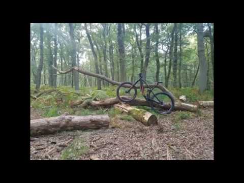 Canyon Strive AL 6 0 tuned