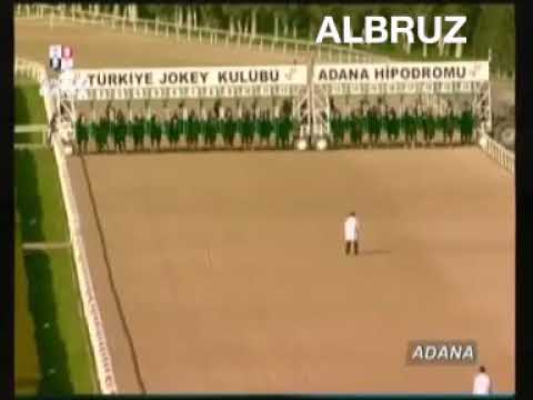 14/02/2009    ADANA                                   AT YARIŞLARI İZLE