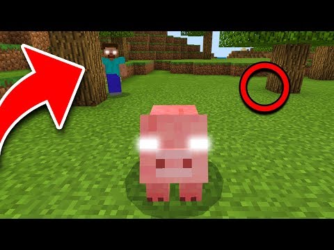 How to Tell if a MOB is POSSESSED in Minecraft!