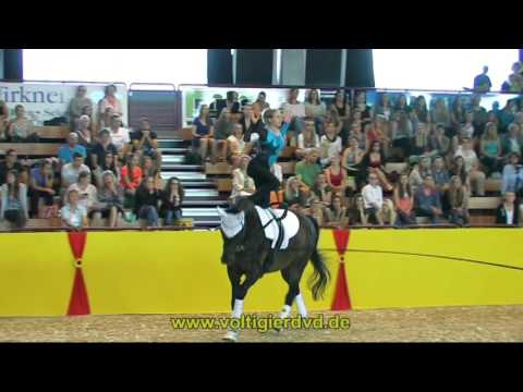 Nadine Langer - BAW - DVM Alsfeld 2015 - Female - 26