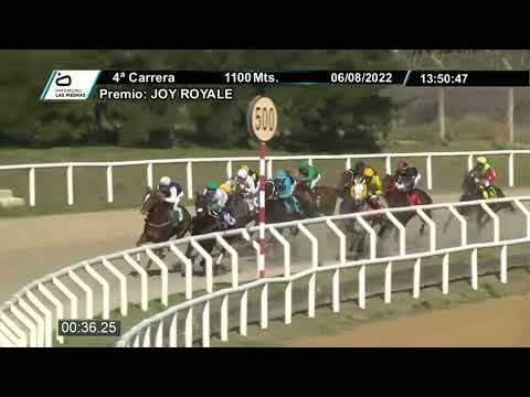 220806 c04 - DELIRIO LAW - HIPODROMO LAS PIEDRAS