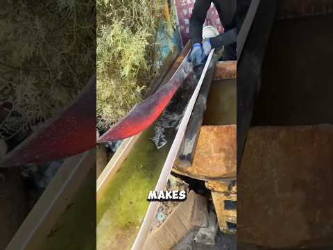 Why Only Sword Edge Quenching #usa #shorts