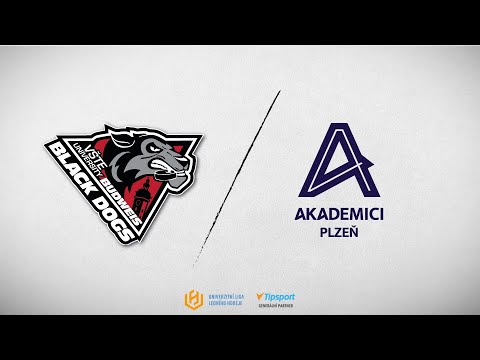 Sestřih: Black Dogs Budweis - Akademici Plzeň 3:1