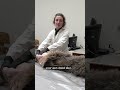 AANGEREDEN WOLF wordt OPGEZET in MUSEUM ? | #Shorts