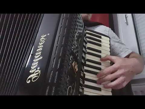 Svibanjska je noć'ca ta... harmonika cover..