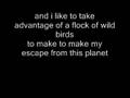 Little Prince - Andrew Jackson Jihad ( with lyrics ...