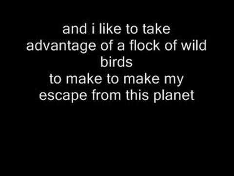 Little Prince - Andrew Jackson Jihad ( with lyrics )