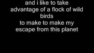 Little Prince - Andrew Jackson Jihad ( with lyrics )