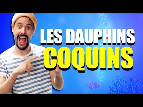 Mon Dauphin jeu