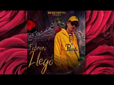 Bebeshito - Febrero Llego