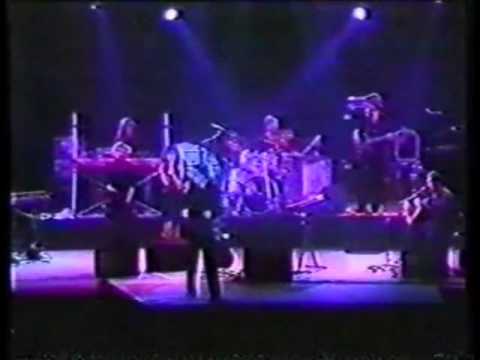 Leonard Cohen @ Roskilde 1988 (5) - Hallelujah