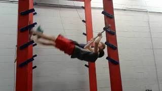 faze tari faza tare la sala