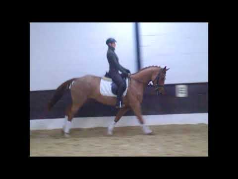 FINYALA 4j. v. First Dance - His Highness VB 8.000,- Euro