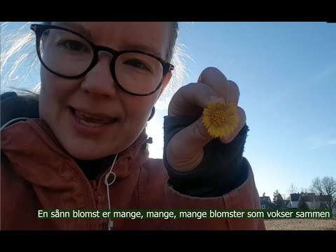 Jeanette og Penny på eventyr: Hestehov