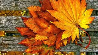 Veselinka Ivančević - Tri jabuke i polak