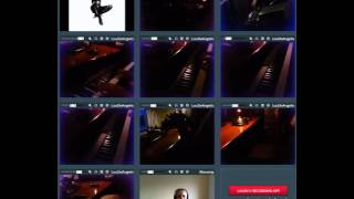 Bandhub.com  - Seal - Dreaming in Metaphors