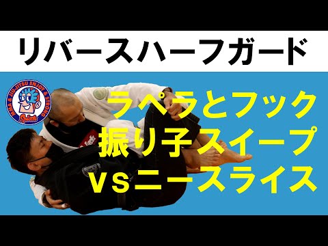 リバースハーフガード　ラペラとフック　振り子スイープ　vsニースライス