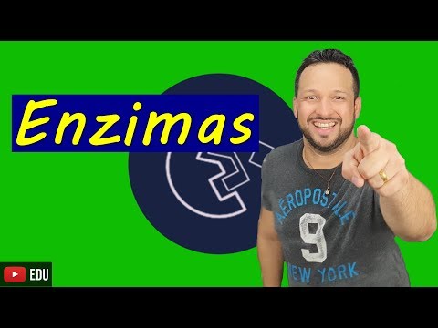 Enzymes - Everything you need to know! - Organic compounds - Biochemistry