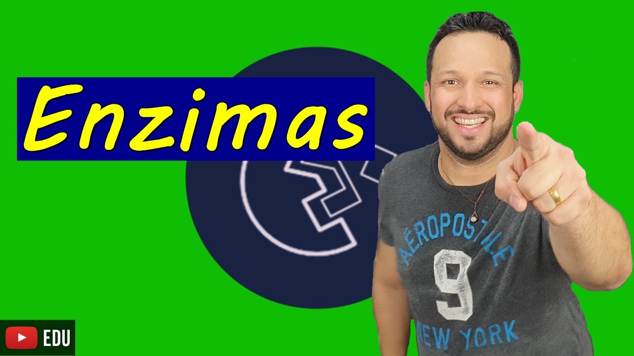 Enzimas - Tudo que você precisa saber! - Compostos orgânicos - Bioquímica
