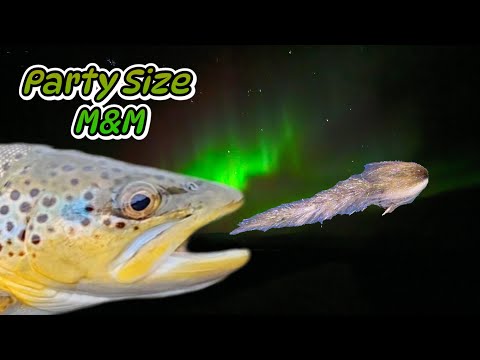 A Simple Micro Game Changer: The Party Size M&M (Micro Minnow)