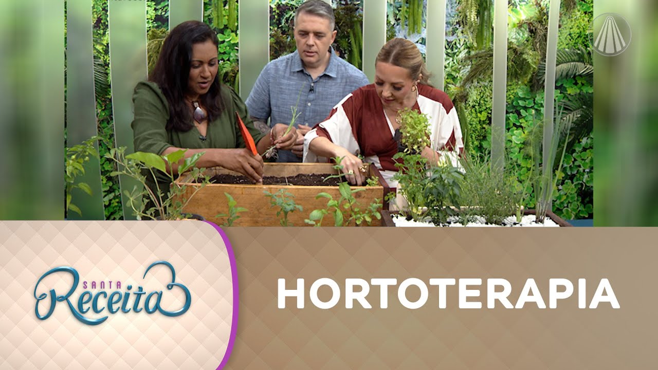 Os benefícios da horoterapia e como cultivar uma horta em espaços pequenos