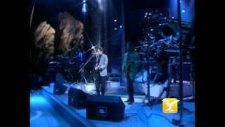 Los Temerarios, A Quién Quieres Engañar, Festival de Viña 1993