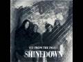 Fly From The Inside (acoustic)- Shinedown 