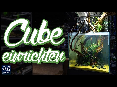 90l Cube Aquarium einrichten | AquaOwner