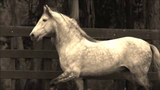 Black Dub: Silverado