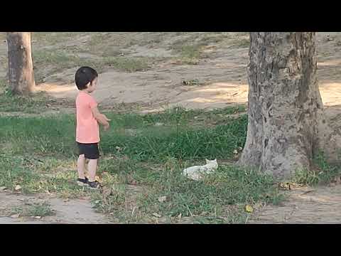 Vaneeza Playing With Cat 2022