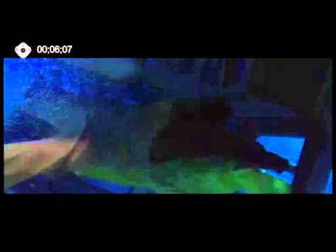 The Perfect Storm Underwater Movie Challenge