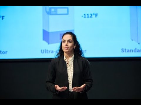 Zahra Ghiasi - 2024 Three Minute Thesis (3MT) Presentation