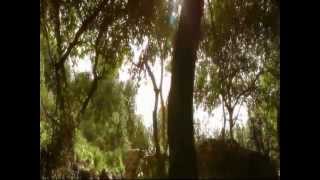 Inkubus Sukkubus Love Spell