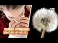 Wat helpt tegen hooikoorts? Deze pollenexpert geeft tips