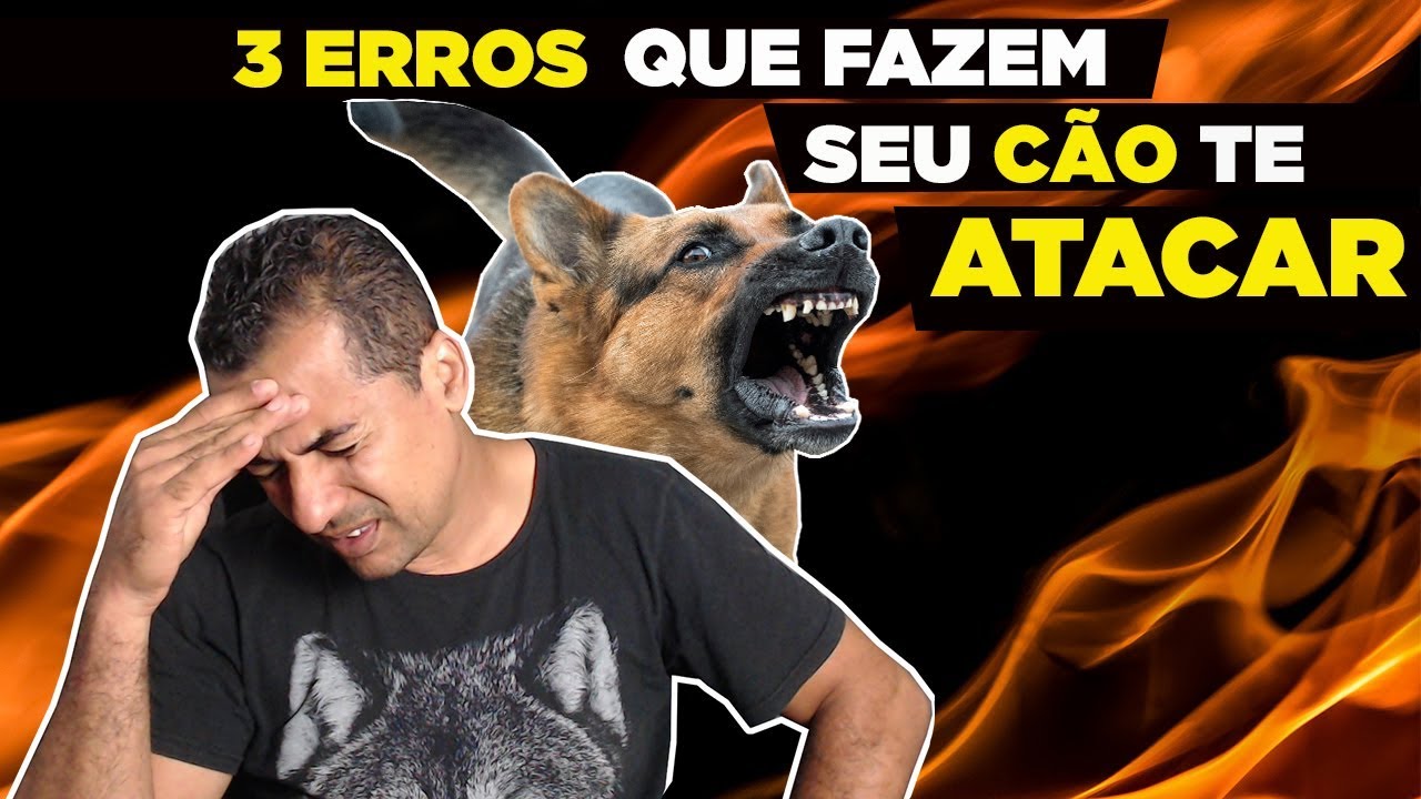 ERROS FATAIS PRO TEU CÃO MORDER VOCÊ