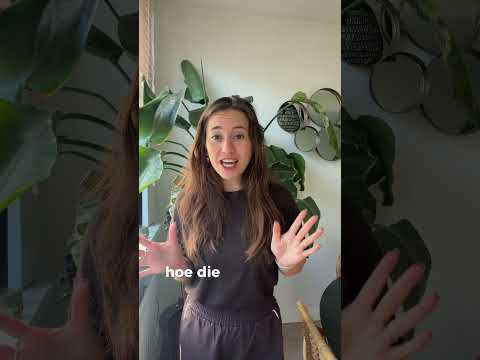 Jill vertelt over het vervolgtraject
