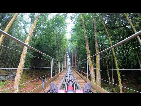 Zipworld Fforest Coaster 4K POV (2020)