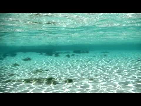 Bahamas - Eleuthera - Snorkeling