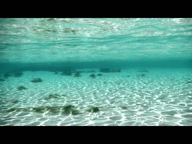 Bahamas - Eleuthera - Snorkeling