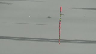 Download lagu wko || Pelembinatur terkini || mp3