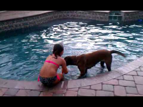 Aija and Cesar Milan....  Aka...  Lexi